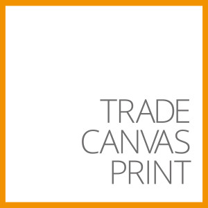 Trade Canvas New Logo