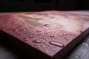 Canvas Waterproof Coating