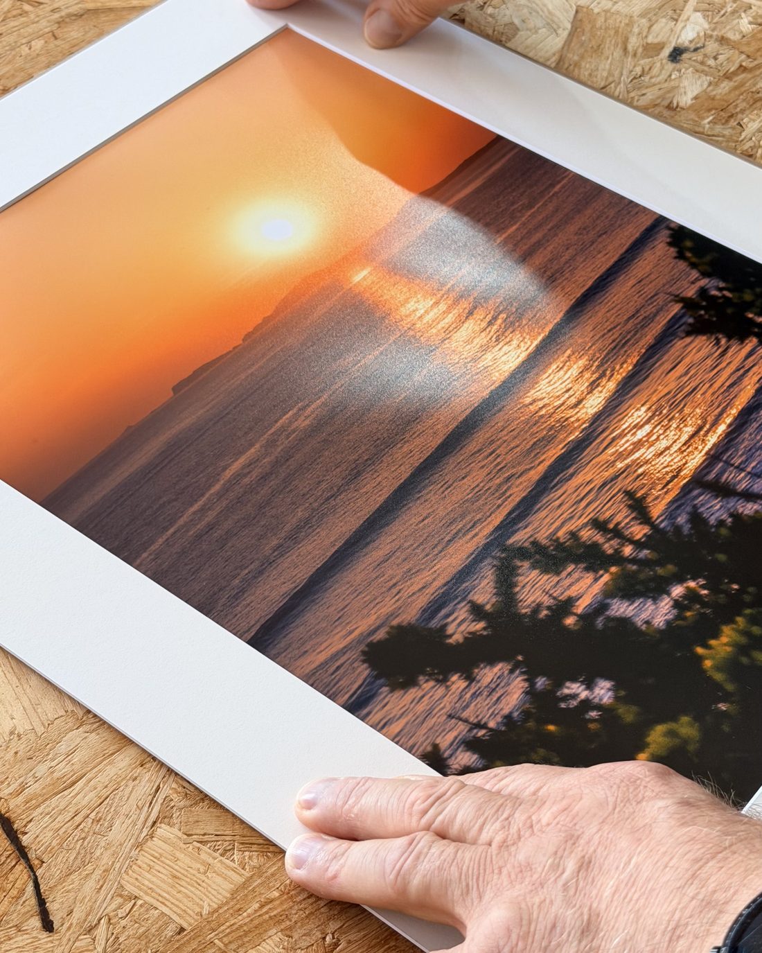 A photographic print being placed under a white mount